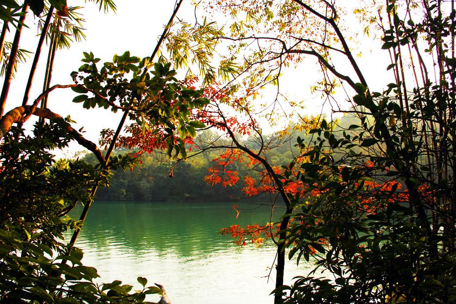 _MG_42092013-10-20.JPG