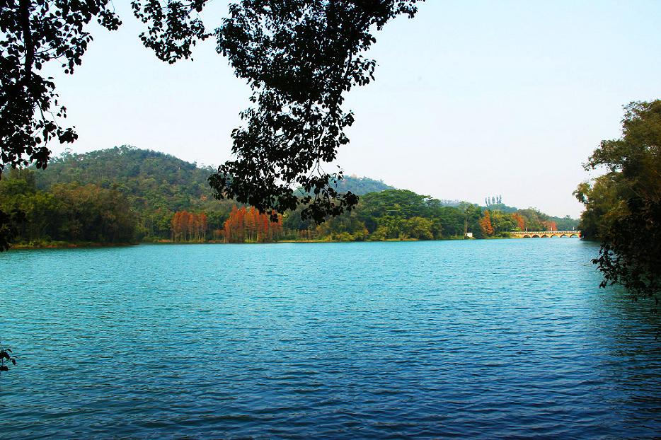 _MG_40552013-10-20.JPG