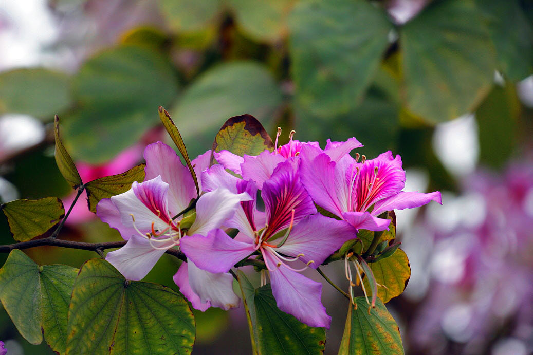 _MG_24272014--2--2.JPG