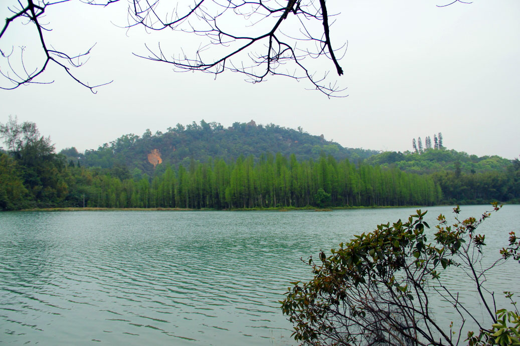 _MG_20522014--2--2.JPG