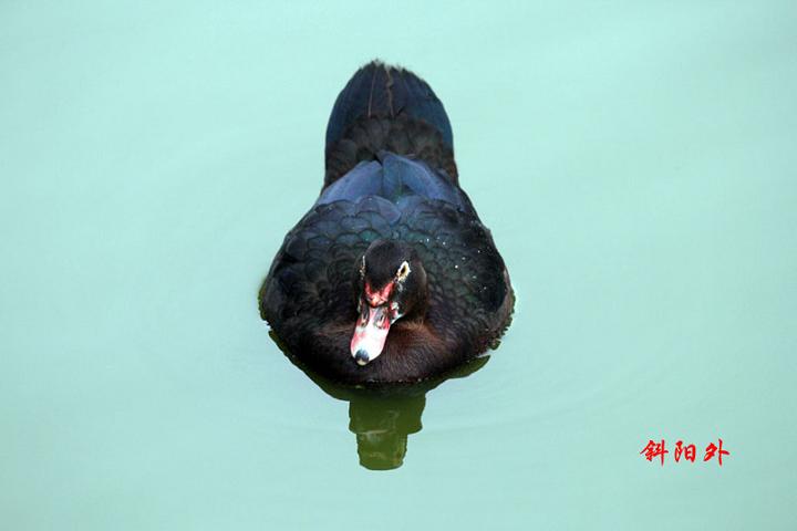 _MG_14952014--2--2_.jpg