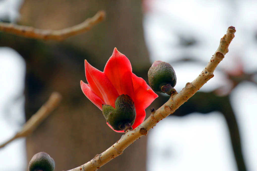 _MG_17902014--2--2.JPG