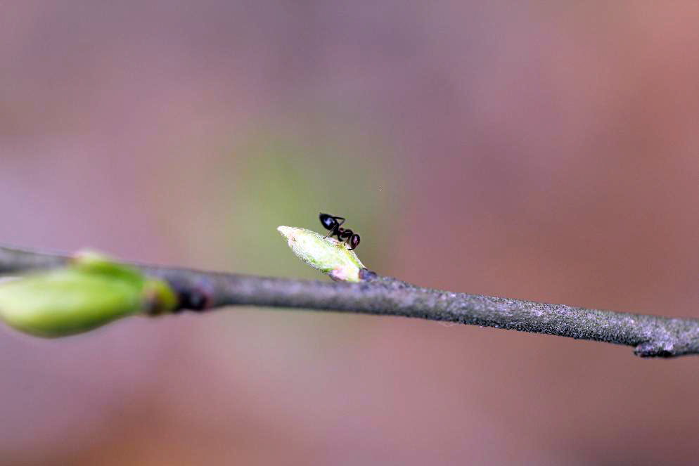 _MG_99522014--2--2.JPG