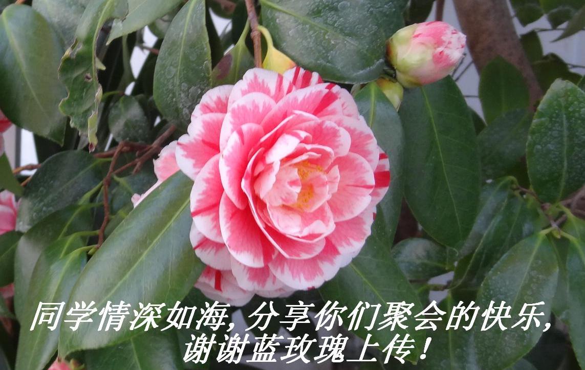 ͬѧ纣,ǾۻĿ,ллõϴ.JPG