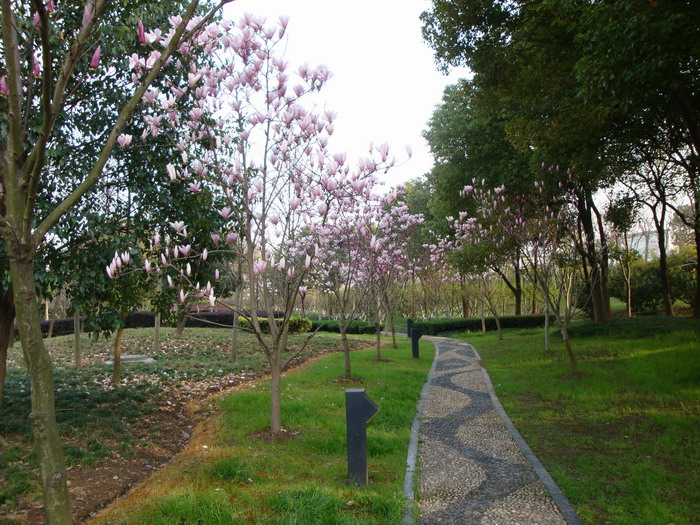 FILE0771.JPG