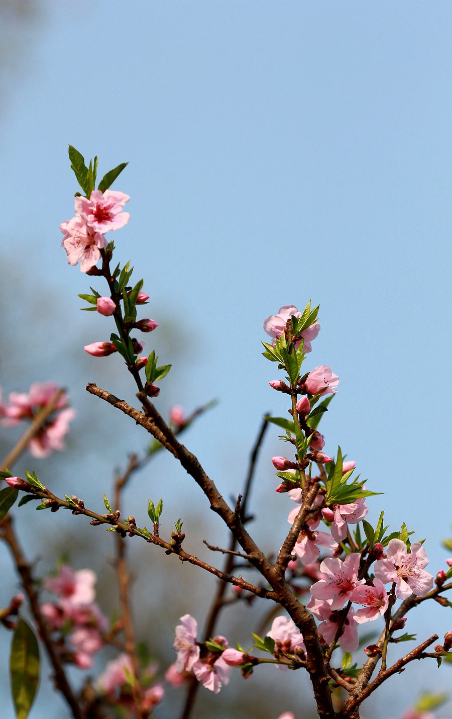 IMG_9059.JPG