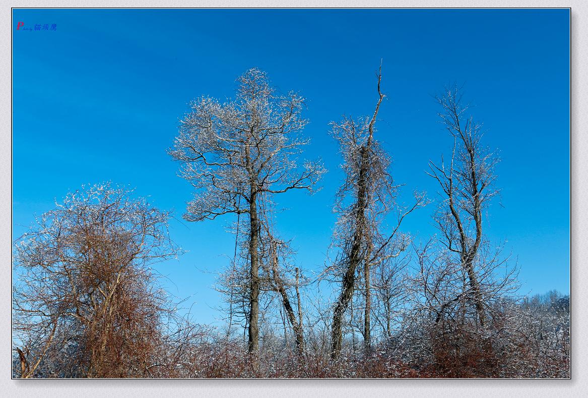 �}�u -14-2-13ѩ�� 495-2.jpg