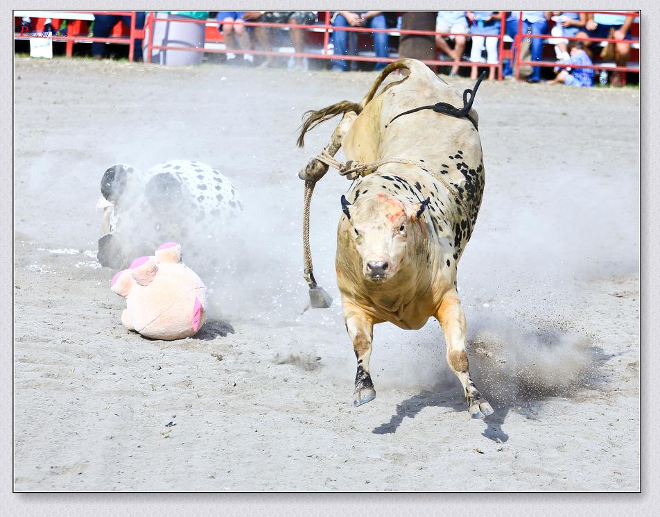 �}�u -�����Uţ 824-2.jpg