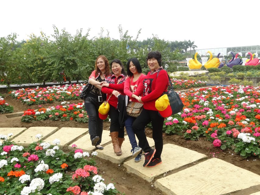 2_42332_954dff3a3776524.jpg