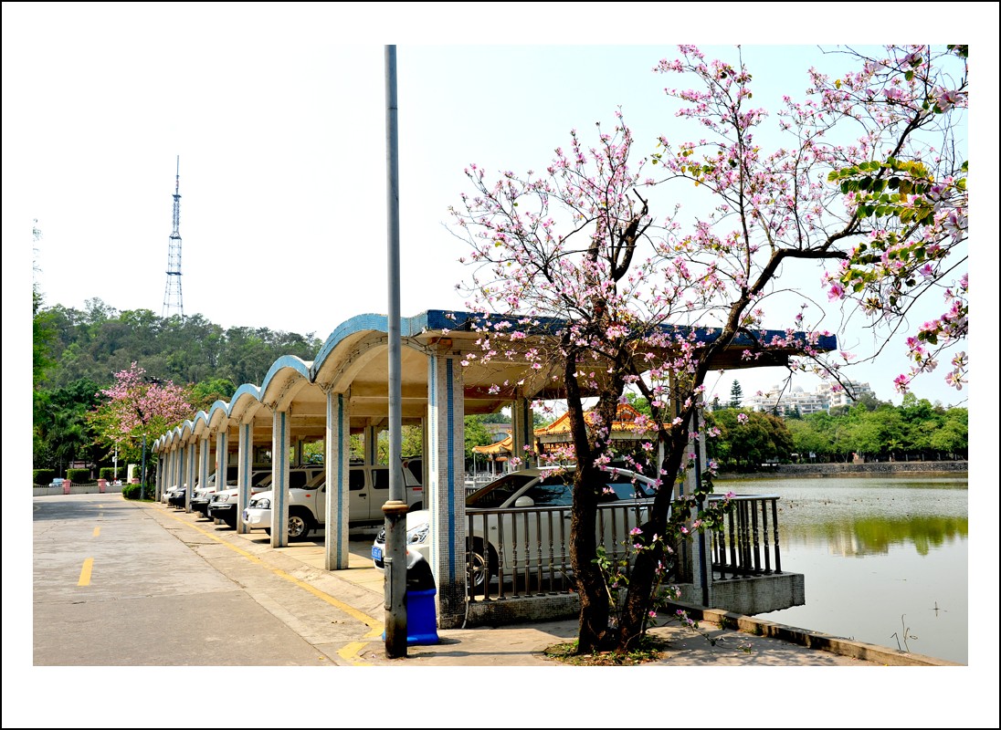 DSC_6965_conew1.jpg
