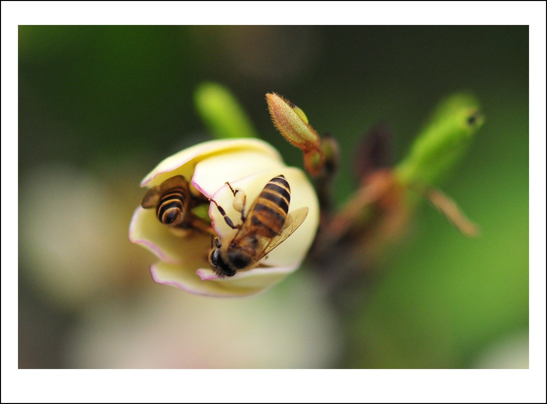DSC_3660_conew1.jpg