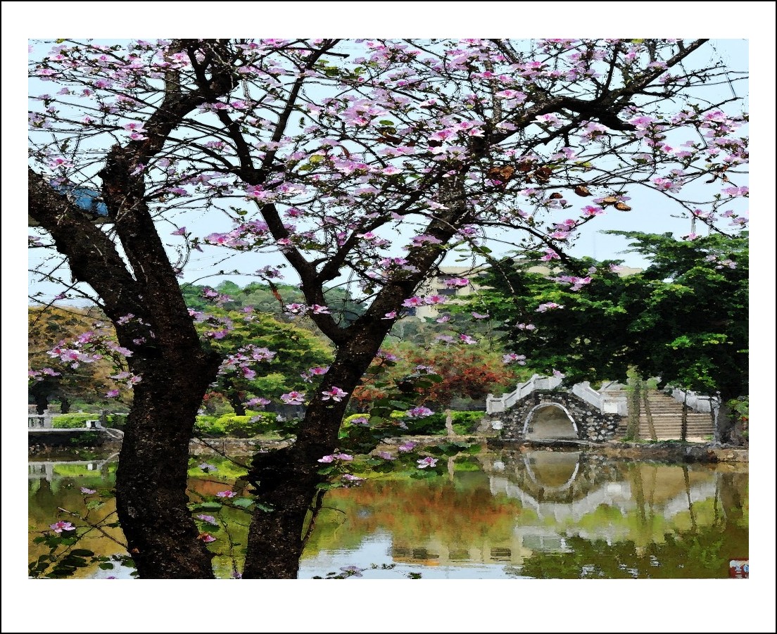 DSC_6957_conew3.jpg