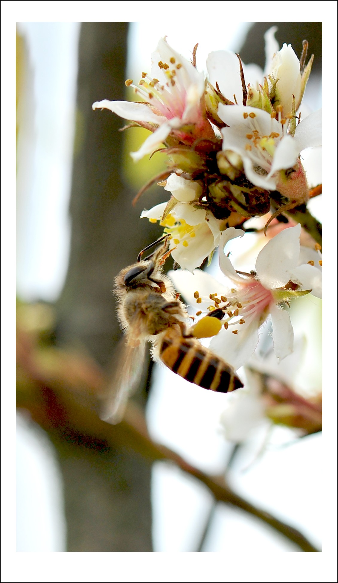 DSC_6170_conew1.jpg