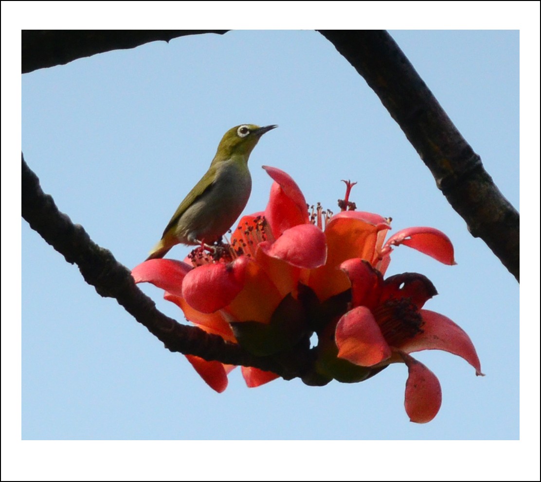 DSC_8449_conew1.jpg