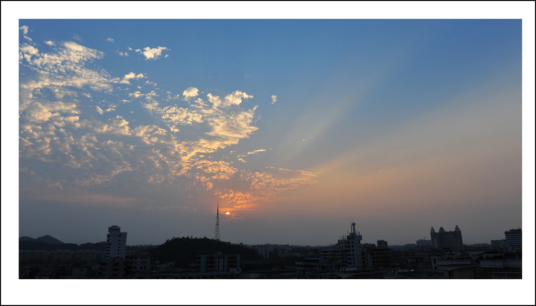 DSC_6365_conew1.jpg