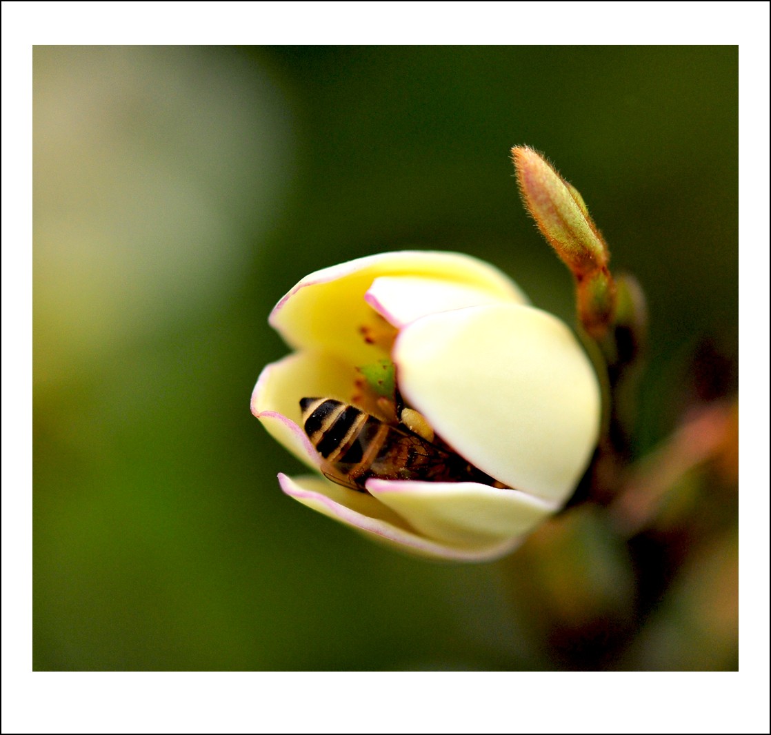DSC_3639_conew1.jpg