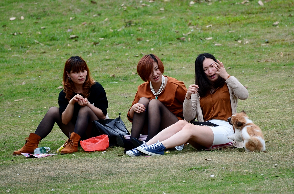 DSC_0869.JPG