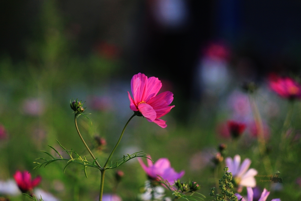 ��Ƭ 067.jpg