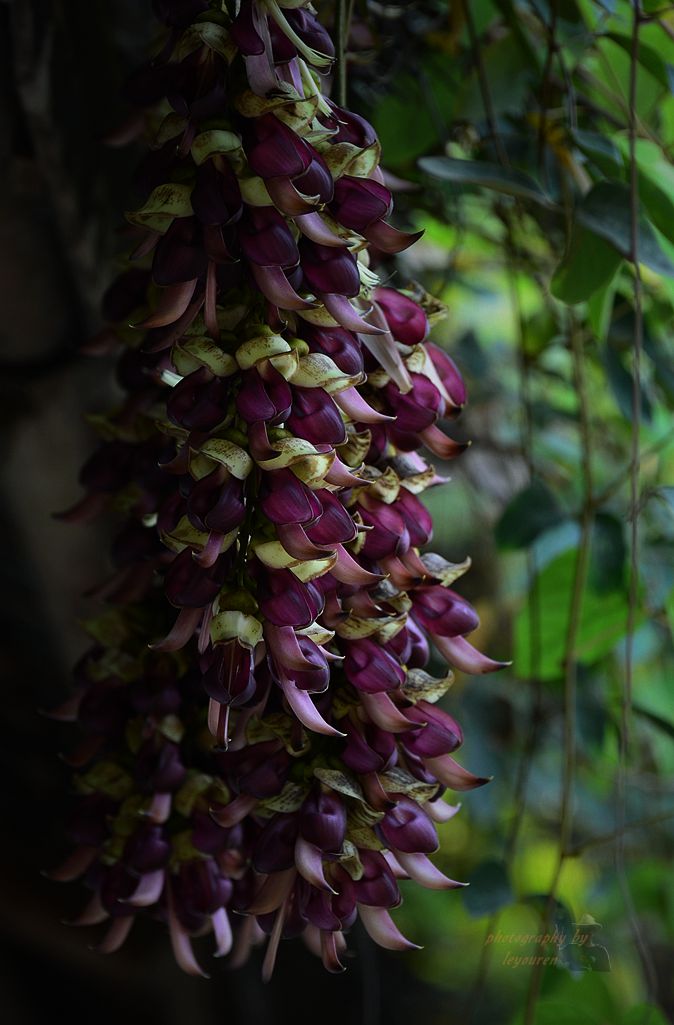 DSC_0580_����.jpg