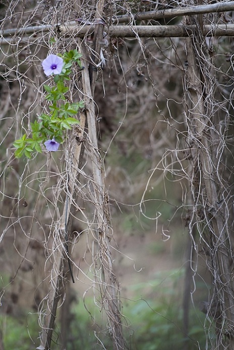 DSC_6726.jpg