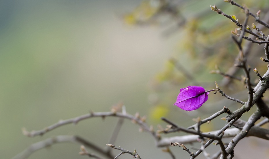 DSC_7123.jpg