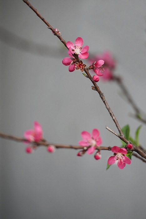 DSC_5802.jpg