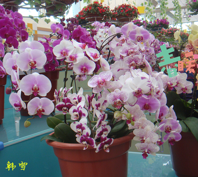 DSC04773_.jpg