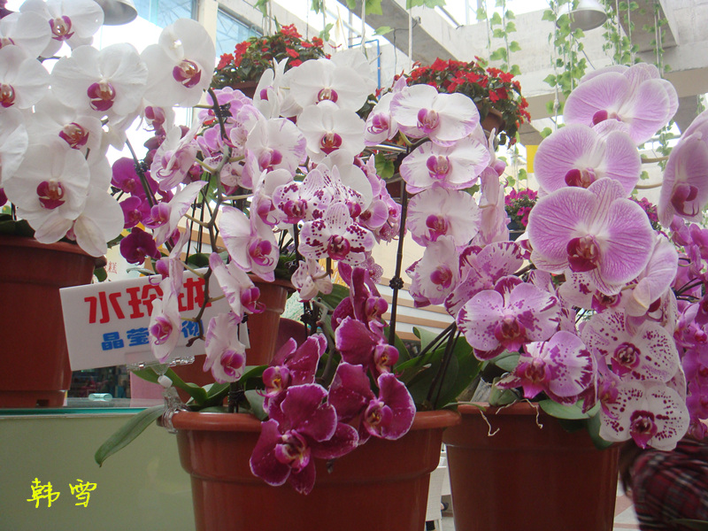 DSC04780_.jpg