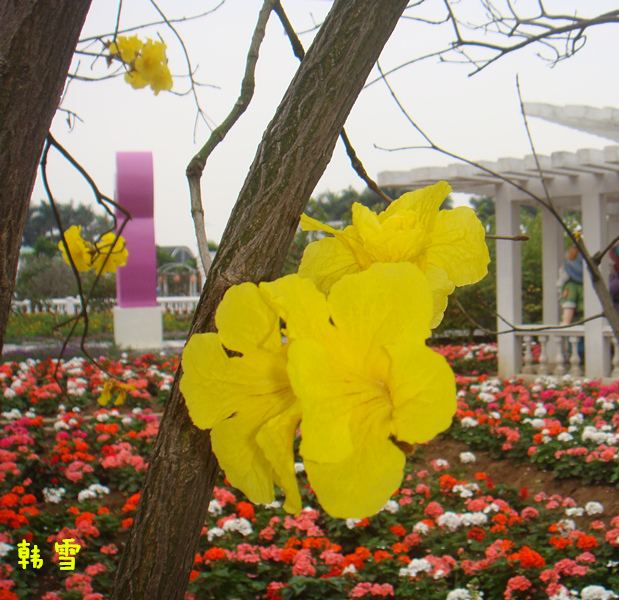 DSC04760_.jpg
