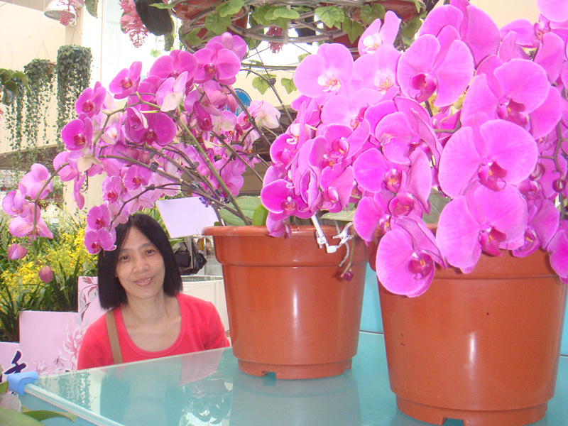 DSC04778_.jpg
