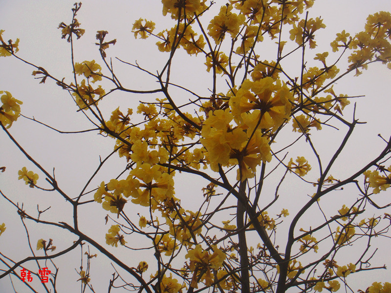 DSC04758_.jpg