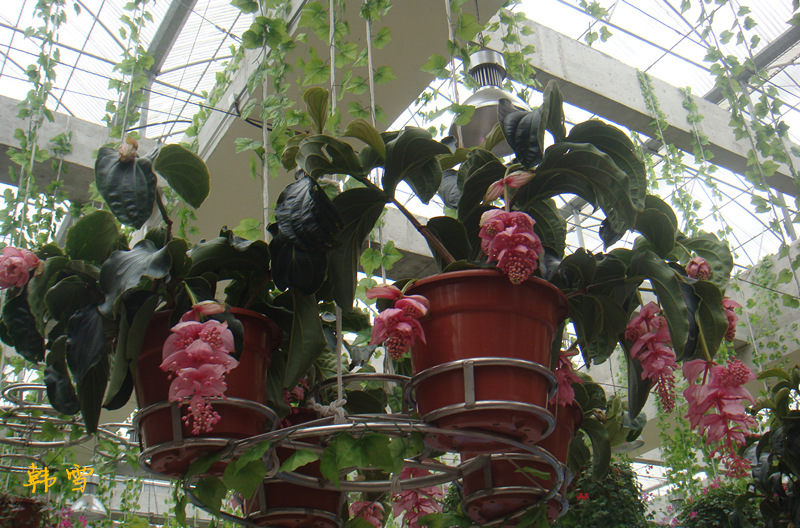 DSC04764_.jpg