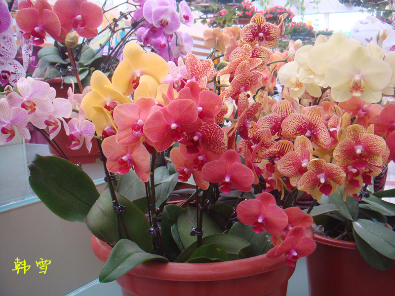DSC04781_.jpg