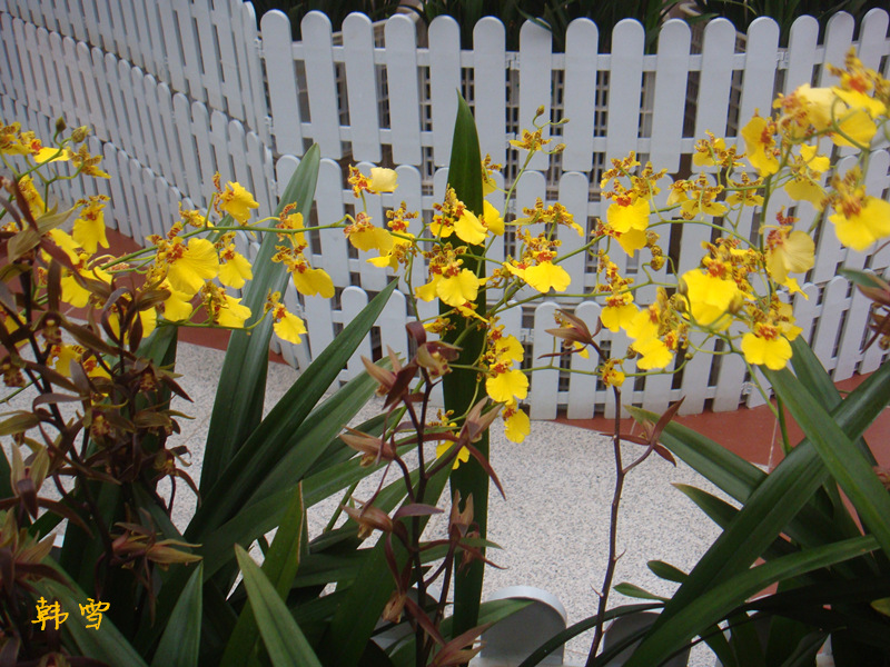 DSC04766_.jpg