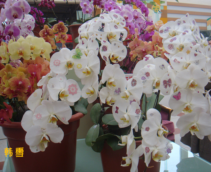 DSC04779_.jpg