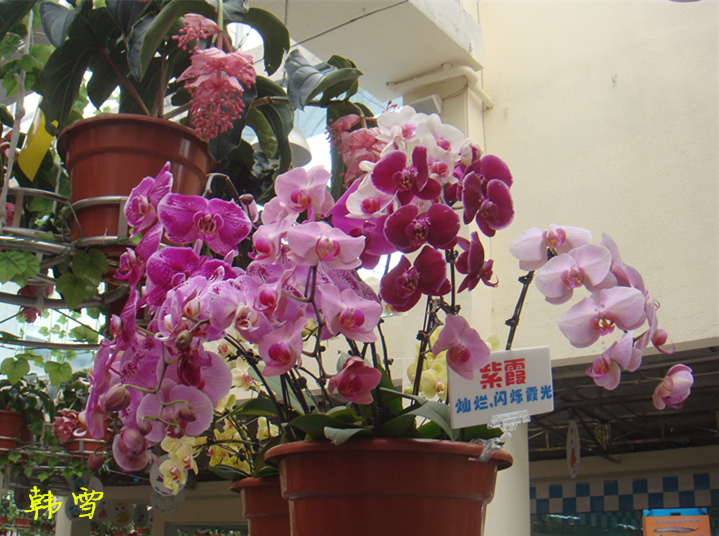DSC04776_.jpg