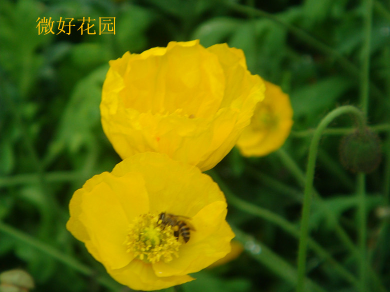 DSC08725_.jpg