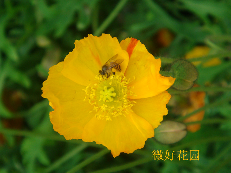 DSC08726_.jpg