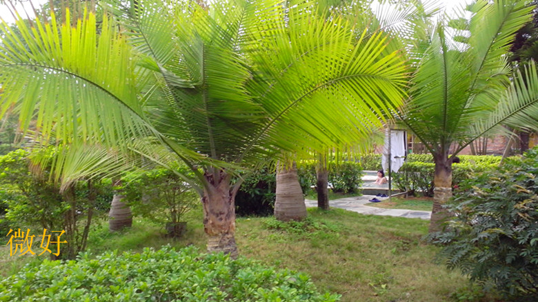IMG_20140302_160249_.jpg