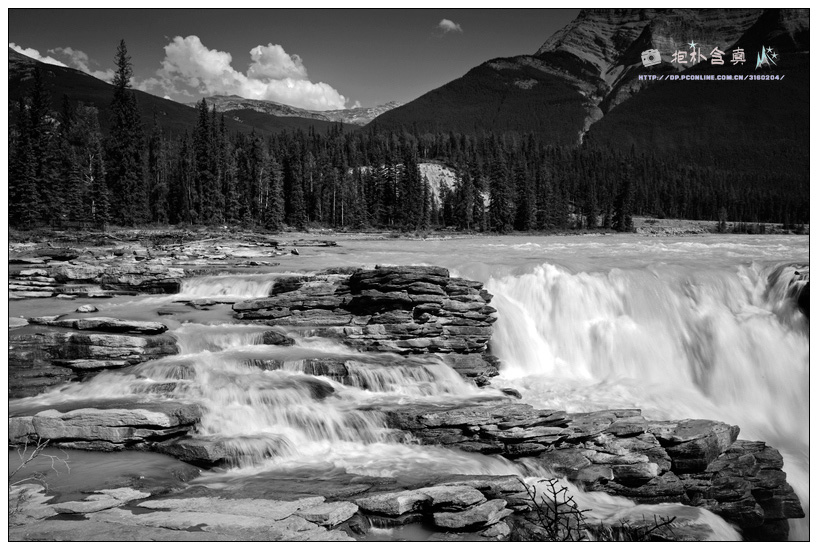 _DSC9170.jpg