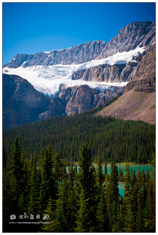 _DSC8059.jpg