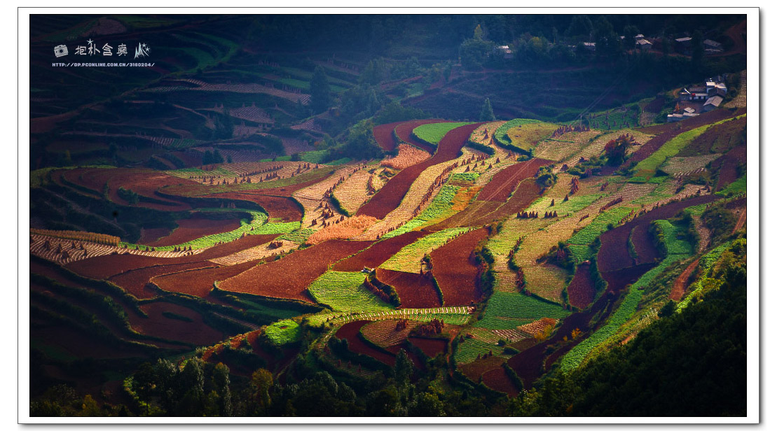 ��ϴ18������Ʒ (25).jpg