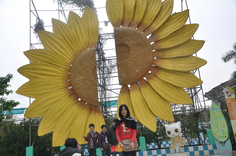 D90 459.jpg