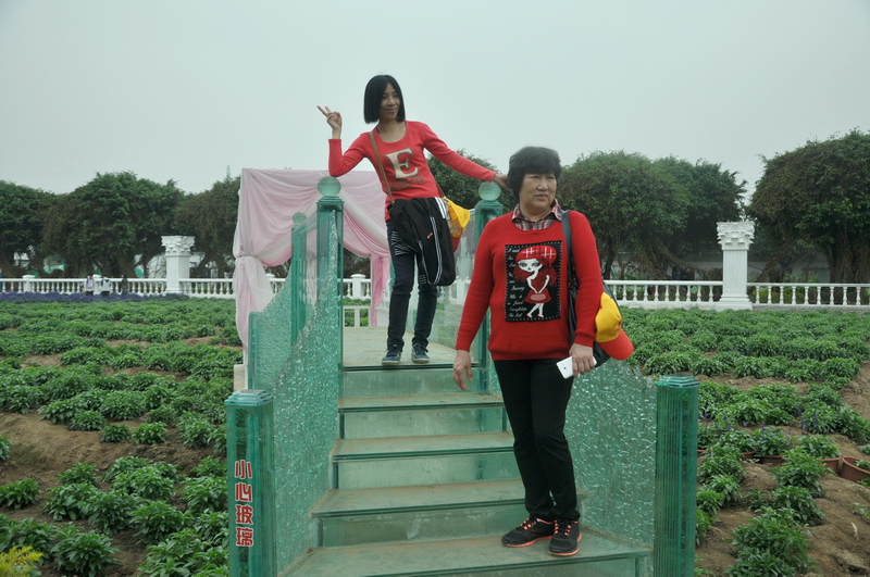 D90 336.jpg