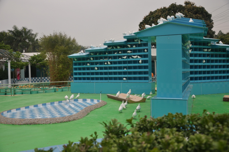D90 454.jpg
