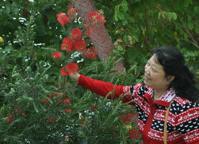 D90 339.jpg