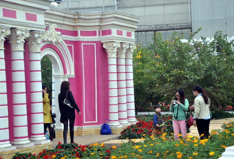 D90 392.jpg