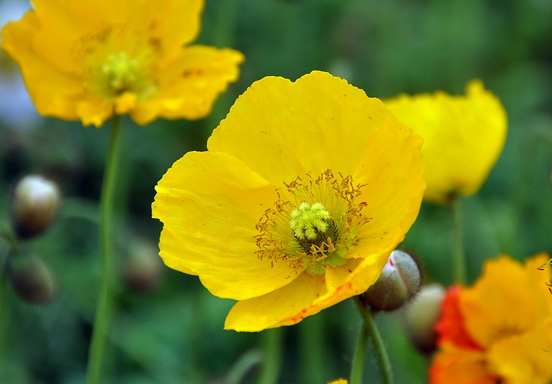 D90 353.jpg
