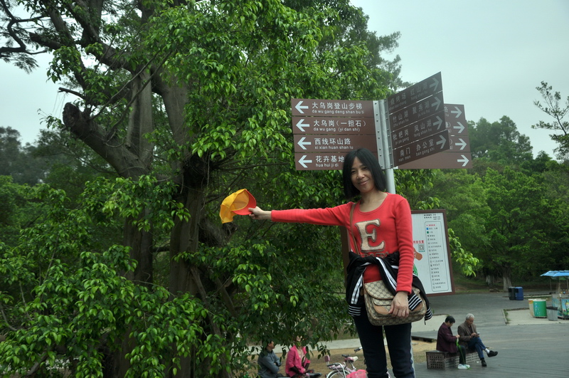 D90 065.jpg
