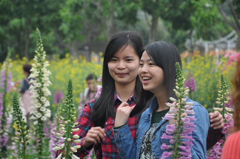 D90 139.jpg